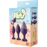 FLIRTS ANAL TRAINING KIT GEM STONE PURPLE