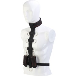 BLAZE DELUXE COLLAR BODY RESTRAINT